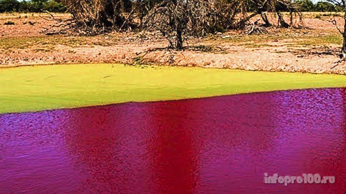 Озеро в Парагвае за одну ночь стало кроваво-красным