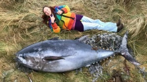 На берег Шотландии выбросило огромного атлантического тунца длиной более 2 метров