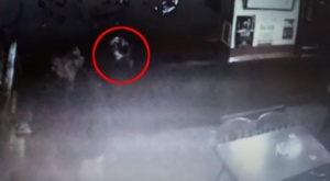 В английском пабе на камеру видеонаблюдения засняли призрака