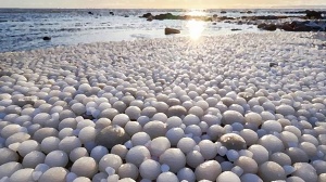 Ледяные яйца заполнили прибрежную зону в Финляндии