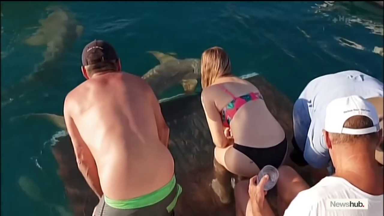 5 СЛУЧАЕВ НАПАДЕНИЙ АКУЛ НА ЧЕЛОВЕКА СНЯТЫХ НА КАМЕРУ. Жуткие атаки акул снятые на видео.