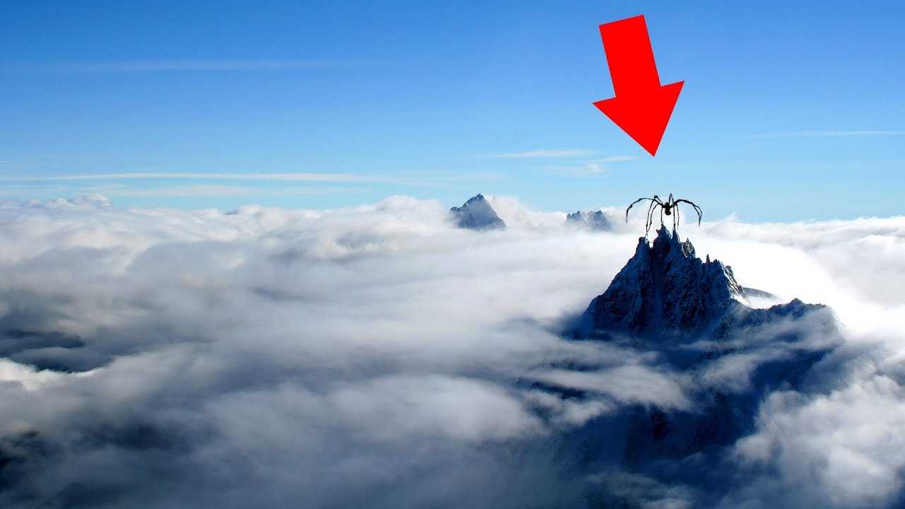 Что живет на вершине Эверест?