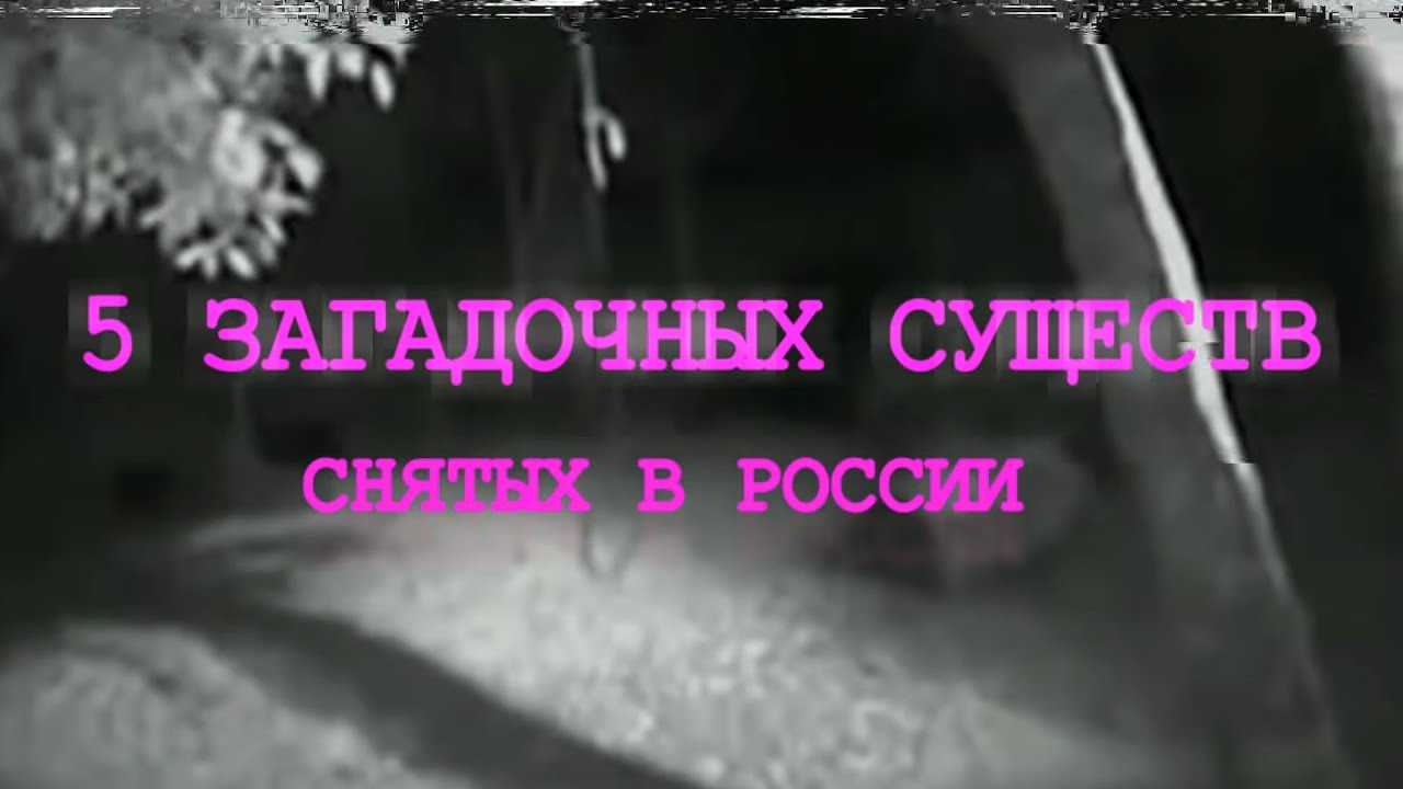 Загадочные существа снятые на видео в России