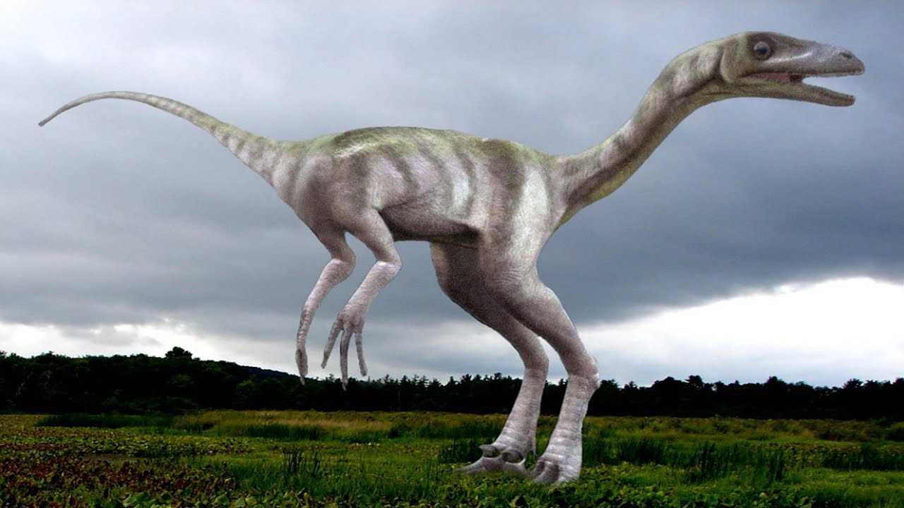 Как выглядели динозавры на самом деле?