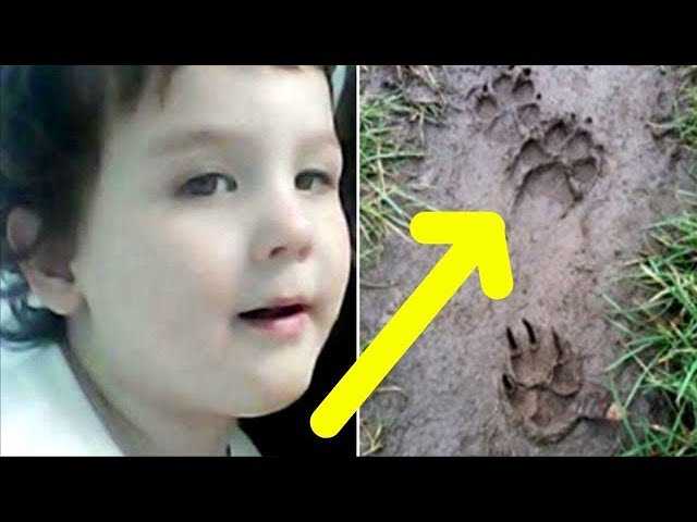 Когда в лесу исчез 2-летний мальчик, полицейские наткнулись на отпечатки лап!..
