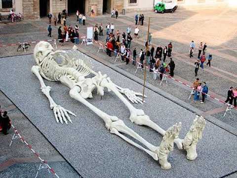 Кости 8 ми метровых людей нашли в породе,возрастом 10 млн лет.Загадочная раса великанов