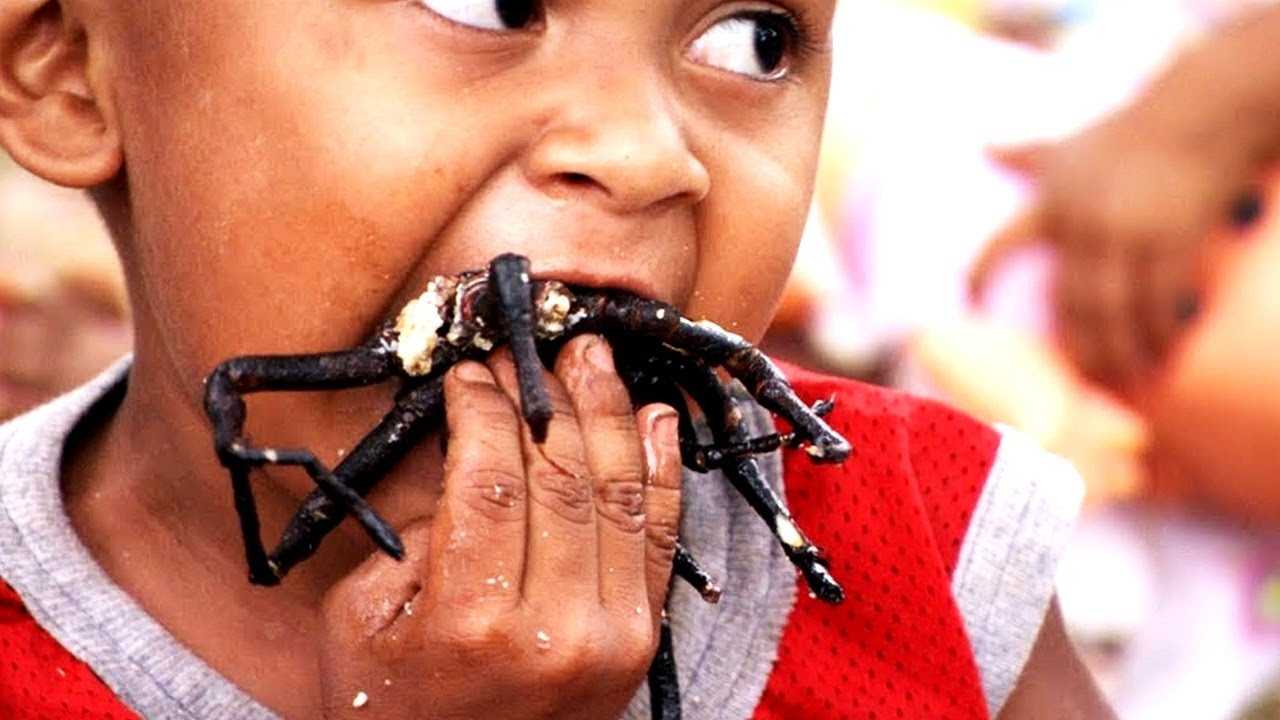 Люди едят пауков