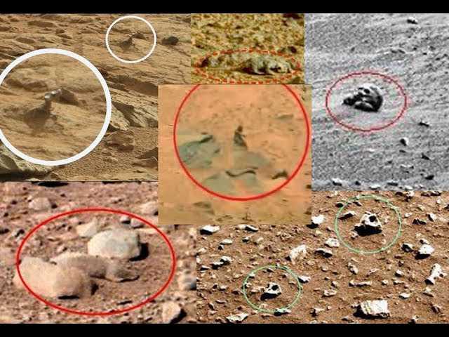 Марсоход передал на Землю фотографии,которые взволновали ученых.Кто живет на Марсе.Тайны Марса