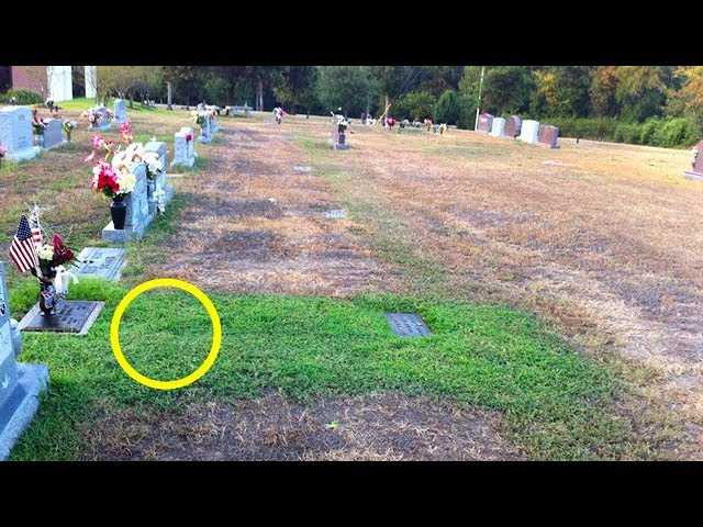 Мать не могла понять, почему трава на могиле ее сына стала зеленой. Потом она узнала, в чем причина…