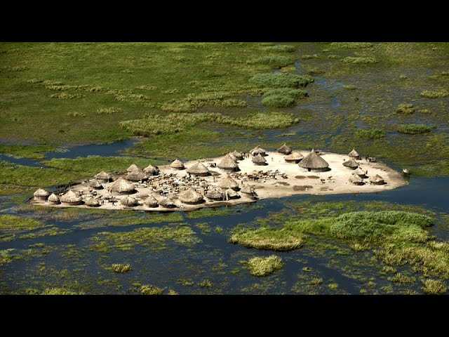 Они живут посреди самого большого болота Африки. Нилоты на болоте Судд