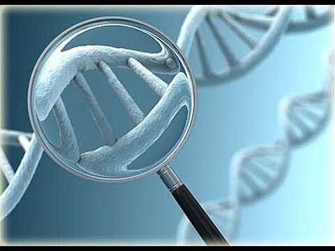 Подробный анализ ДНК поставил ученых в затруднительное положение.Чем МУЖЧИНА отличается от ЖЕНЩИНЫ