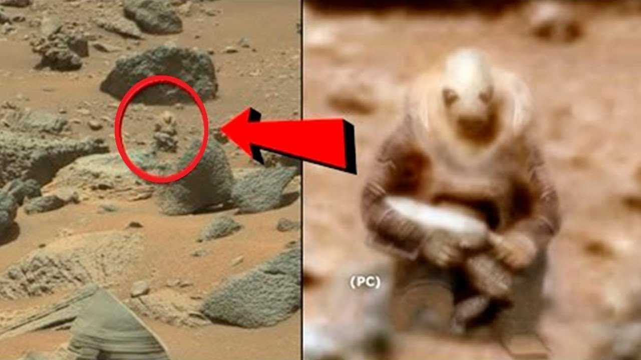 ПОДЗЕМНАЯ ЖИЗНЬ НА МАРСЕ. Ученые обнаружили на Марсе неизвестную форму жизни. Куда исчез марсоход?