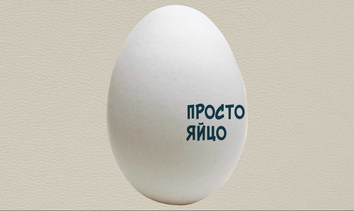 Просто яйцо | ЕХперименты с Антоном Войцеховским