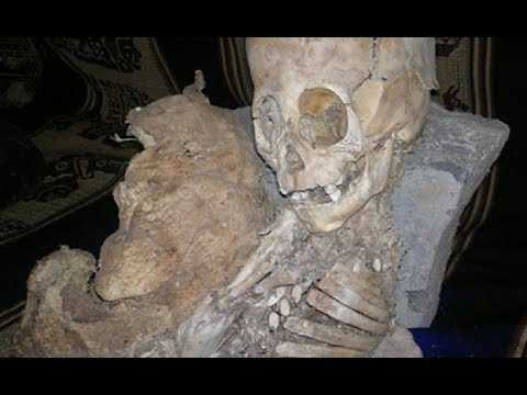 Скелет внеземного происхождения нашли туристы-спелеологи в пещерах ЮАР.Тайны пришельцев.Тайны Чапман