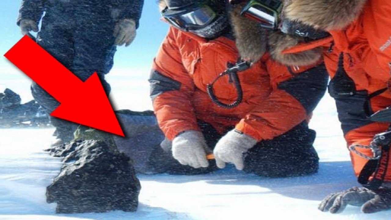 СРОЧНОЕ ЗАЯВЛЕНИЕ! ТО, что учёные нашли в Антарктиде, по-настоящему поражает!