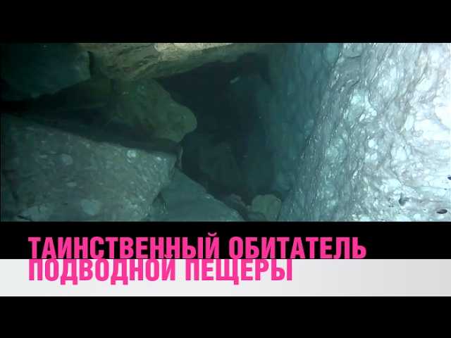Таинственный обитатель подводной пещеры