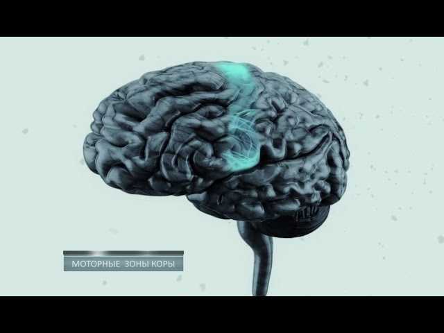 Тайны мозга. Фильм 2