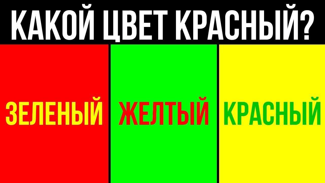 ТЕСТ На СКОРОСТЬ РЕАКЦИИ На Сколько БЫСТРО Работает Ваш МОЗГ