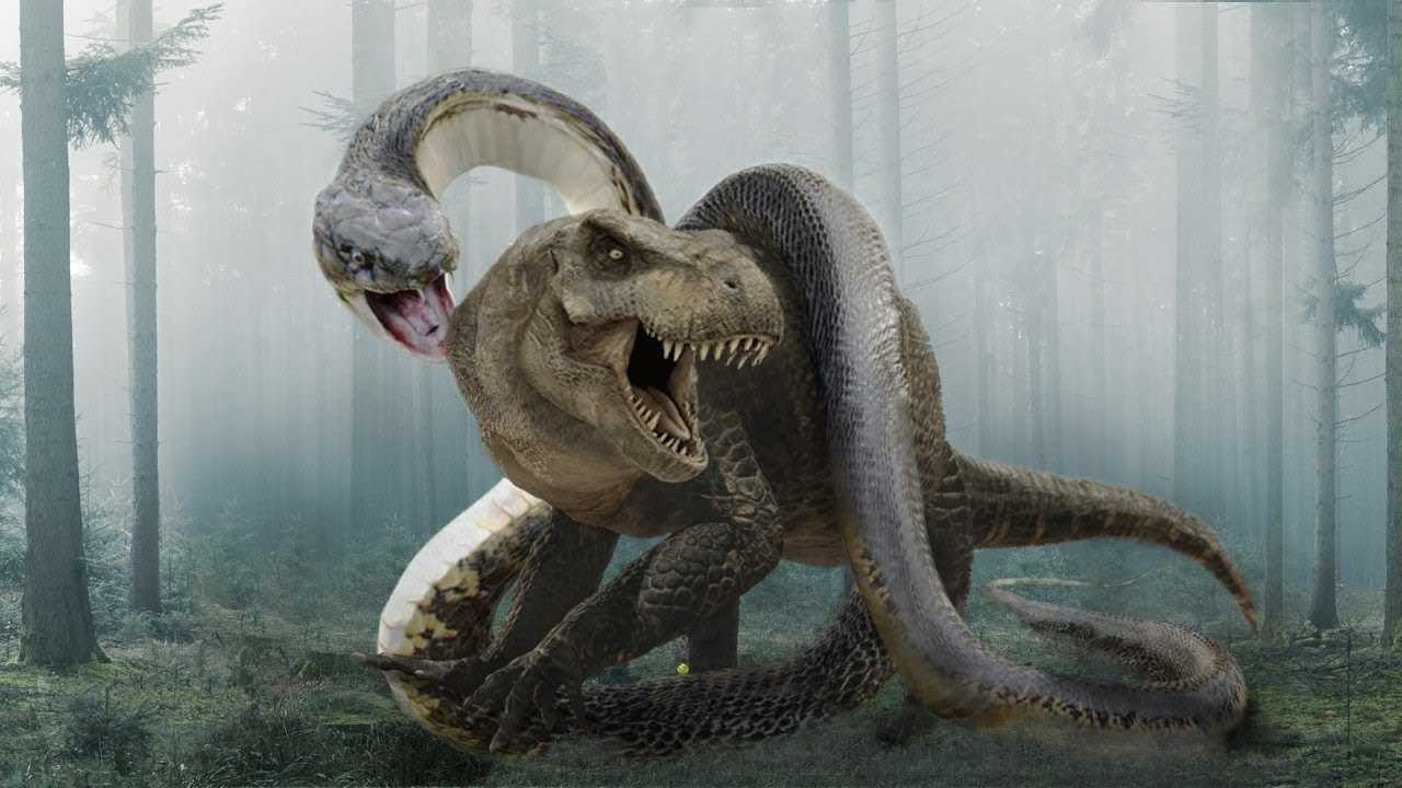 Змеи-гиганты, которые убивали динозавров!